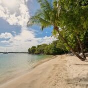 Grenada Private Tours