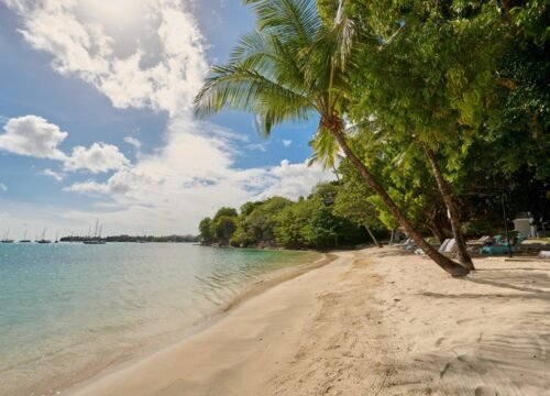 Grenada Private Tours with Julean’s Taxi and Tours